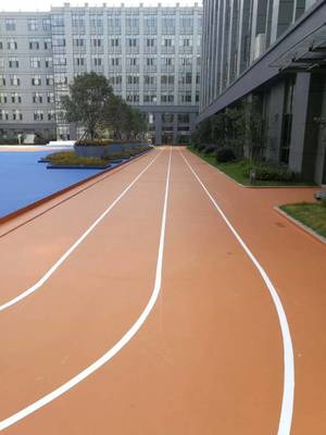 塑膠跑道橡膠顆粒 幼兒園EPDM彩色環(huán)保橡膠顆粒面層材料品牌解析