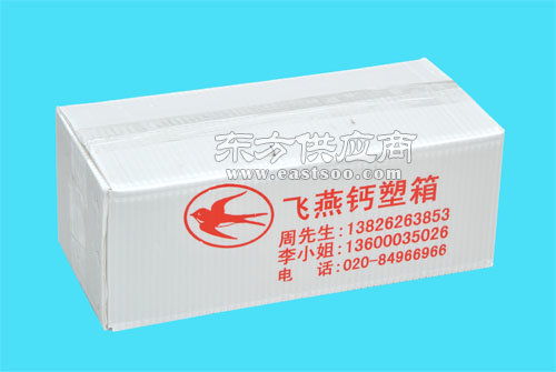 鈣塑瓦楞箱與飛燕塑膠制品 深圳與佛山兩大生產(chǎn)基地的對(duì)比與產(chǎn)品展示